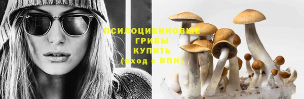наркотики Абинск