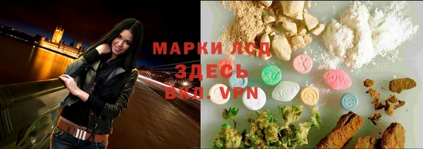 бошки Елизово